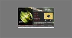 Desktop Screenshot of coil.com.hk